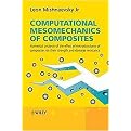 Computational Mesomechanics of Composites (Numerical Analysis of the Effect of Microstructures of Composites of Strength and Damage Resistance) (Hardcover)