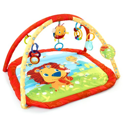 Buy Low Price KIDS II Bright Starts Lion In The Park Activity Gym B0031M9EGU