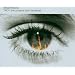 Push Remix-Liste