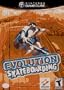 Evolution Skateboarding