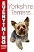 Yorkshire Terriers (Everything You Need to Know About...)