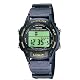 Casio Herrenarmbanduhr Casio Collection W-93H-2AVHEF