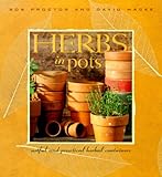 Herbs in Pots: A Practical Guide to Container Gardening Indoors and Out