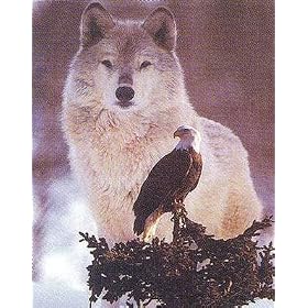 Wolf and Eagle