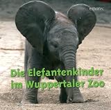 Die Elefantenkinder im Wuppertaler Zoo