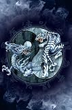 ODM (Tiger & Dragon, Yin Yang) Art Poster Print - 24