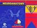 Book Neuroanatomy Primer: Color to Learn