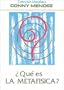 Que es la Metafisica (Spanish Edition)