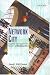 Network City: Planning the Information Society in Bangalore