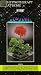 Hypnotherapy at Home: Stop Smoking [VHS]