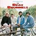 The Best of the Beau Brummels: Golden Archive Series