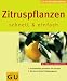 Used : Zitruspflanzen schnell und einfach