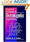 Numerical Techniques in Electromagnetics, Second Edition