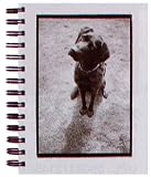 Bark & Smile Journal