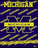 Michigan Wolverines NCAA 48x60 Triple Woven Throw Blanket