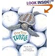 One Tiny Turtle