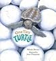 One Tiny Turtle