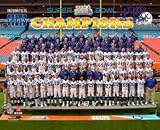Indianapolis Colts Super Bowl 41 Champions Team Photograph