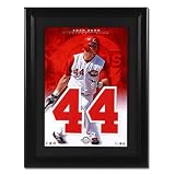Cincinnati Reds - Adam Dunn Upper Deck MLB Jersey Numbers Collection