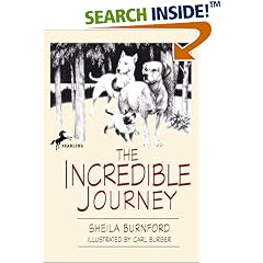 The Incredible Journey