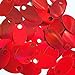 Large Hole Oval Sequin 1.25
