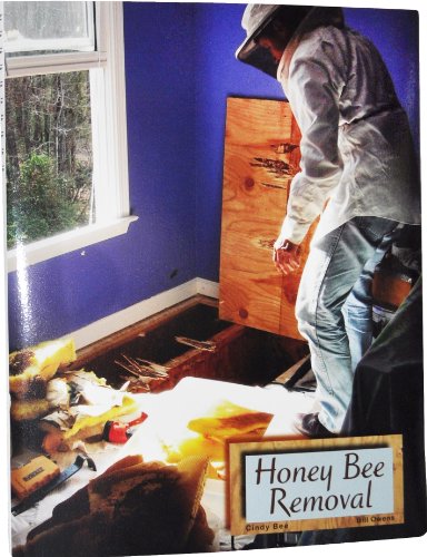 honey bee removal a step by step guide