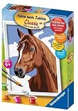 Ravensburger 27853 - Stolzes Pferd, Malen nach Zahlen, 13 x 18 cm