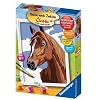 Ravensburger 27853 - Stolzes Pferd - Malen nach Zahlen, 13 x 18 cm
