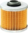 FRAM CH6005 Oil Filter for Motorcycles