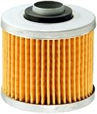 FRAM CH6005 Oil Filter for Motorcycles