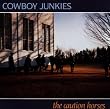 The Caution Horses