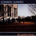 The Caution Horses