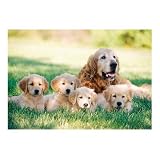 Melissa & Doug GOLDEN RETRIEVER WITH PUPPIES 100 PC JIGSAW PUZZLE