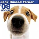 Jack Russell Terrier 2008 Square Wall Calendar (German, French, Spanish and English Edition)