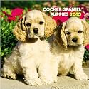 Cocker Spaniel Puppies 2010 Mini Wall Calendar