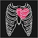 Love Skeleton - Juniors/Girly T-Shirt