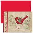 Cardinal Joy Holiday Cards -