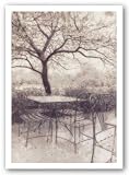 Southern Charm II by Thea Schrack 9