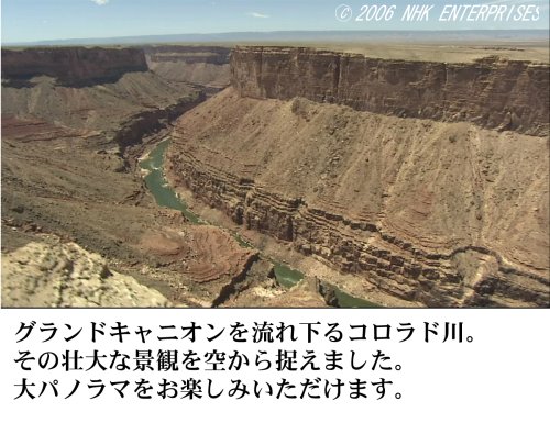 世界の大河 World River Cruising~河から見る世界遺産、秘境、壮大な大自然の数々~ [DVD]