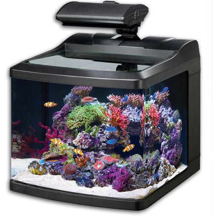 Oceanic 36015 BioCube HQI Aquarium, 29-Gallon