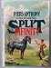 Books : Split Infinity