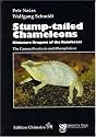 Stump-tailed Chameleons: Miniature Dragons of the Rainforest
