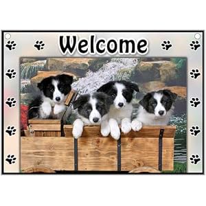 Border Collie Welcome Sign