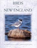 Books : Birds of New England