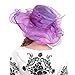 Fascinators Kentucky Derby Church Veil Dress Large Cocktail Party Hat S042