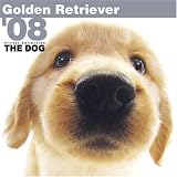 THE DOG Artlist - Golden Retriever 2008 Calendar
