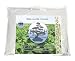 Buckwheat Pillow - Zen Chi 100% Organic Premium Buckwheat Pillow - Twin Size (20" X 26")