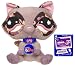 Littlest Pet Shop VIP Raccoon