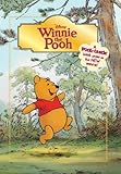 Winnie the Pooh the Movie (Disney Winnie the Pooh Movie)-