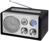 Scott RX 19 Radio-Tuner (UKW-/MW-Tuner, SD/MMC-Kartenleser, USB) schwarz
